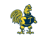 PlaySight Sports AI 55 12 Trinity logo https://playsight.com